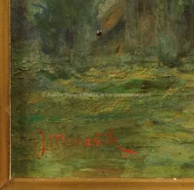  / Rozkvetlé topoly / Jan B. Minařík