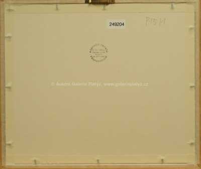  / Zřícenina hradu / Roman Havelka