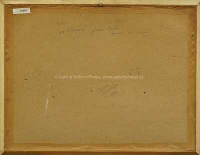  / Zimní Praha / Jan Slavíček