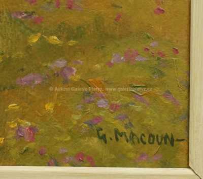  / V dešti / Gustav Macoun