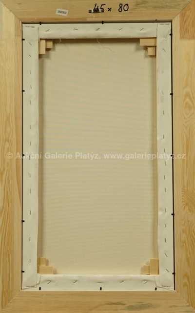  / Televizní věž Arch. Aulického / František Ringo Čech