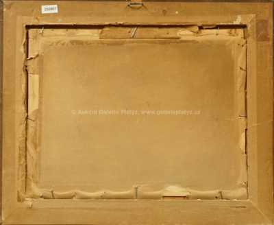  / Zimní den / Jaroslav Panuška