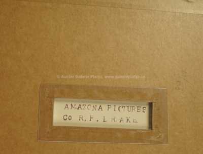  / V zemi otrávených šípů / Zdeněk Burian