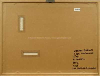  / V zemi otrávených šípů / Zdeněk Burian