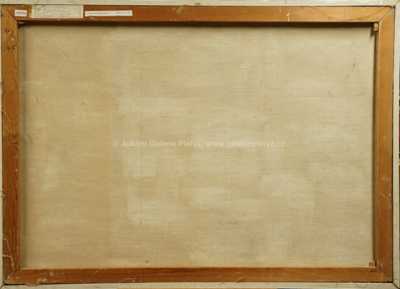  / Berounka pod Nezabudicemi / Jaromír Skřivánek