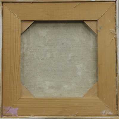  / Ptačí námluvy / Vladimír Komárek