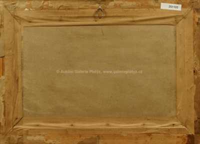  / Rozkvetlé louky / Ota Bubeníček