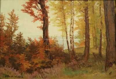  / Barevný les / Otakar Hůrka