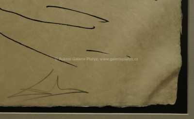  / Ilustrace / Salvador Dalí