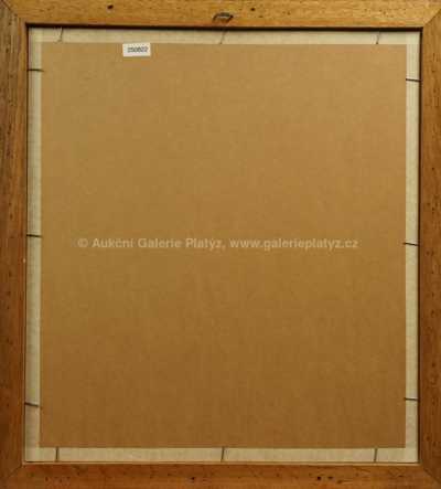  / Zasněžená Praha / František Tavík Šimon