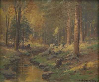  / Potůček v lese / František Daněk - Sedláček