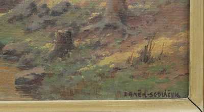  / Potůček v lese / František Daněk - Sedláček