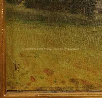  / Partie ze Solné Komory / Jan  Novopacký