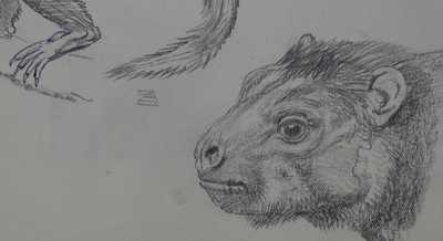  / Smilodectes / Zdeněk Burian