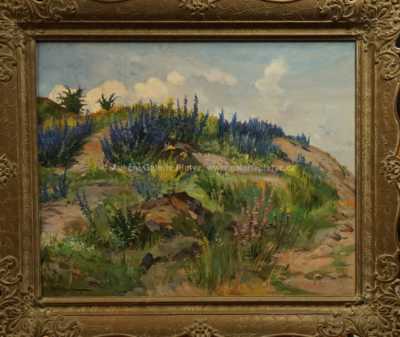Gustav Porš - Rozkvetlý vrch