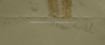  / Astrologie / Olbram Zoubek