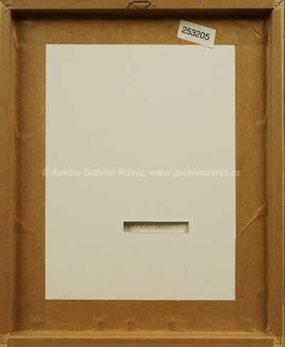  / Astrologie / Olbram Zoubek