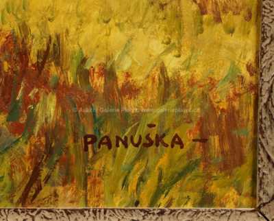  / Zarostlé břehy / Jaroslav Panuška