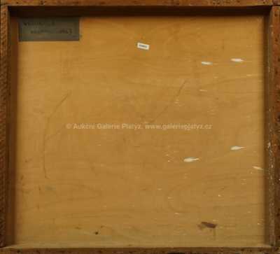  / Vertikála hlubiny / Čeněk Pražák