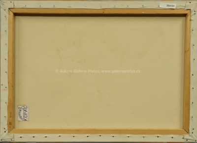  / Znám jednu dívku ... / Kája Saudek