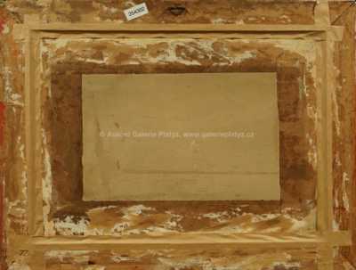  / Zima / Gustav Macoun