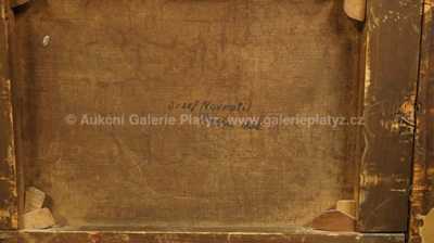  / Rybář pod mostem / Josef Navrátil