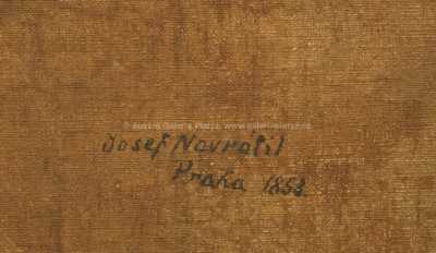  / Rybář pod mostem / Josef Navrátil