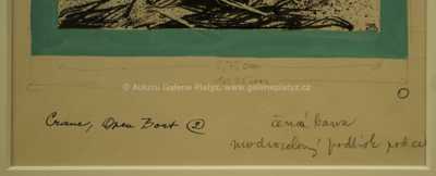  / Záchrana / Zdeněk Burian