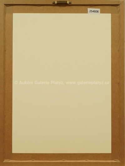  / Odpadlík / Zdeněk Burian