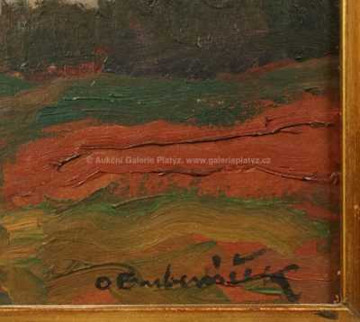  / Z jižních Čech / Ota Bubeníček