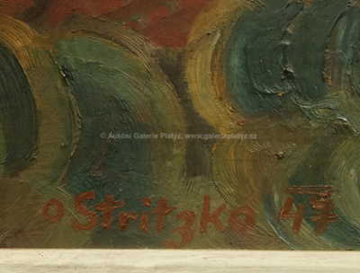  / Pohled na Krnov / Otto Stritzko