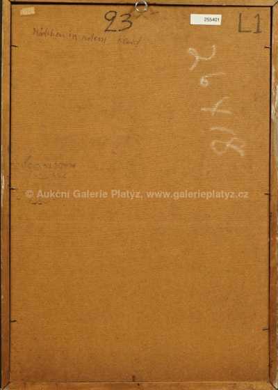  / Žena v červených šatech / Ernest Neuschul