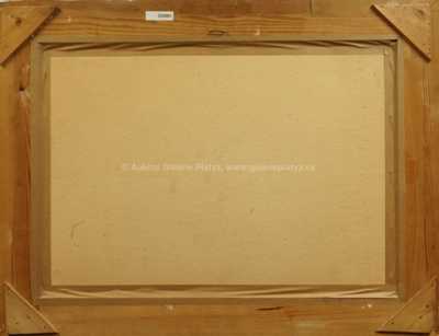  / Městské střechy / František  Foltýn