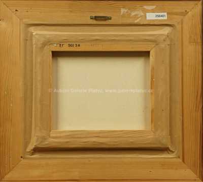  / Krajina světla / Zdeněk Hajný