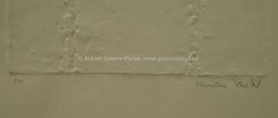  / Sergeji! Drahuno! / Olbram Zoubek