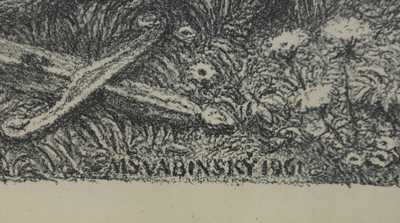  / Dívka s ratolestí / Max Švabinský