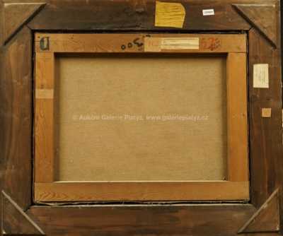  / Kopaniny / Václav Rabas