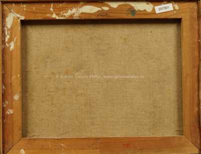  / Pod Malou Skálou / Josef Jíra