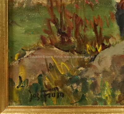  / Děti / Josef Fiala