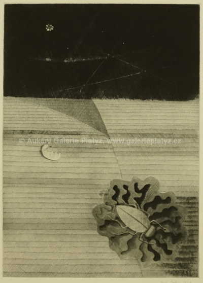  / Brouček / Jiří John