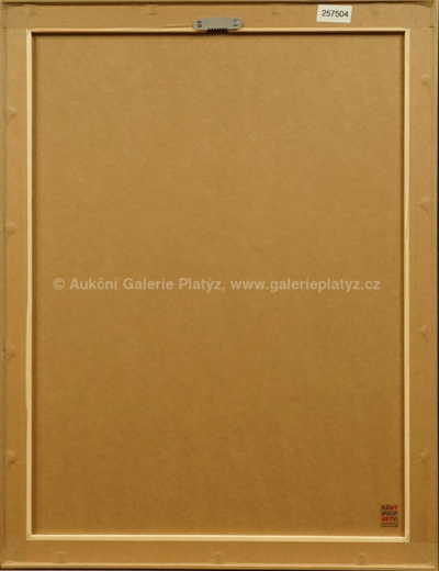  / Brouček / Jiří John