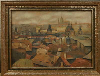 Václav Haise - Pražské střechy