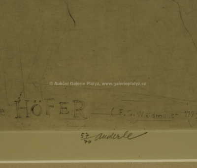  / Elise Höfer / Jiří Anderle