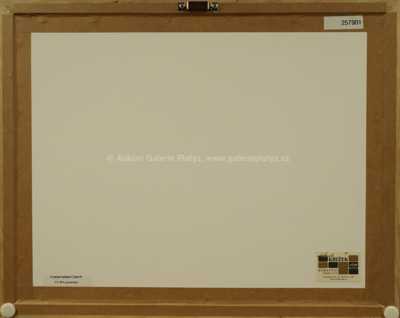  / Tajemství / Marko Čermák