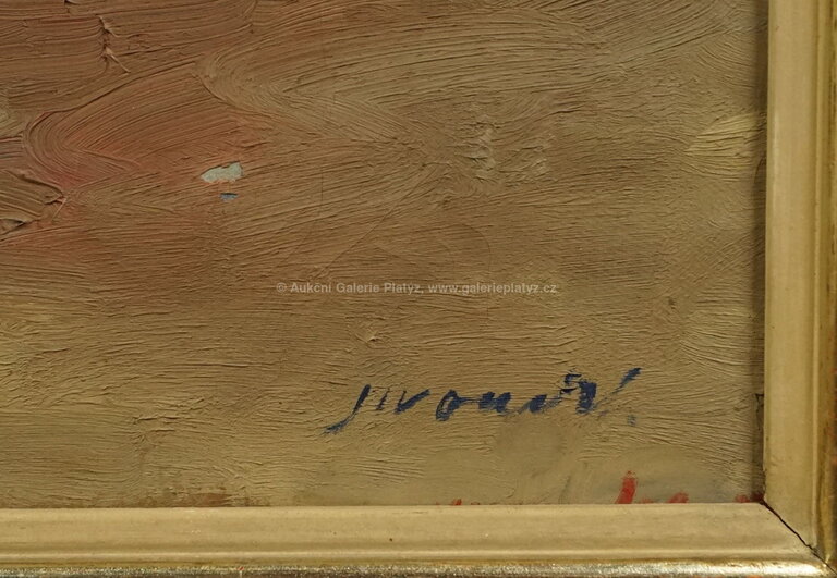  / Zátiší s hrozny / František Jiroudek