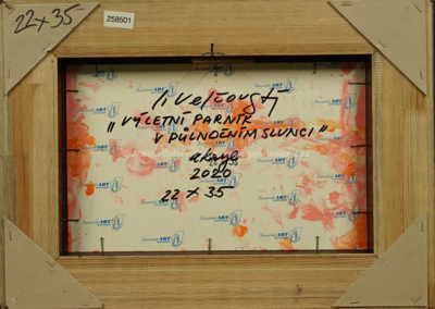  / Výletní parník v půlnočním slunci / Josef Velčovský