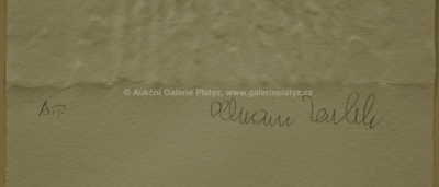  / Ruce ve vlasech / Olbram Zoubek