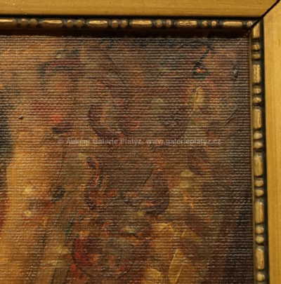  / Dívka a střevíček / Bohumil Mareček