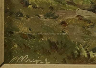  / Ze Šumavy / Josef Krejsa