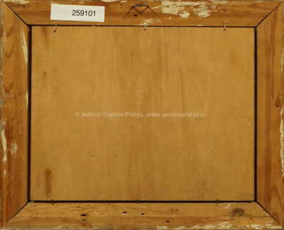  / Ze Šumavy / Josef Krejsa